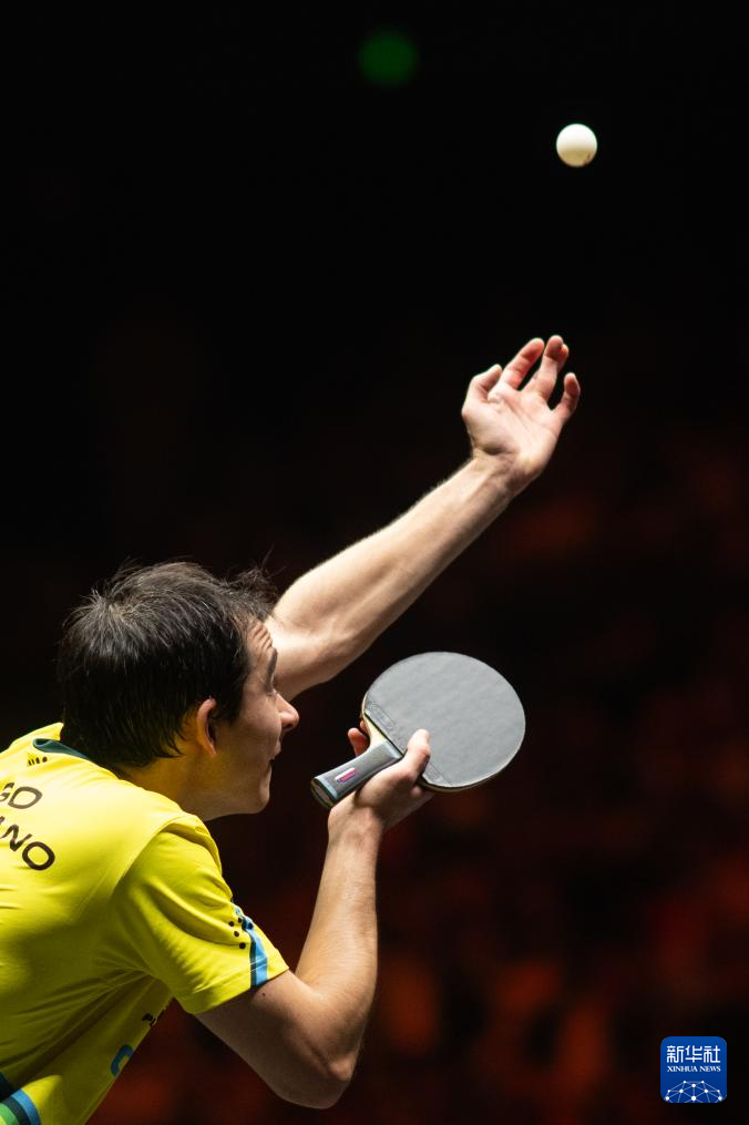 仅应用于历 仅应用于历