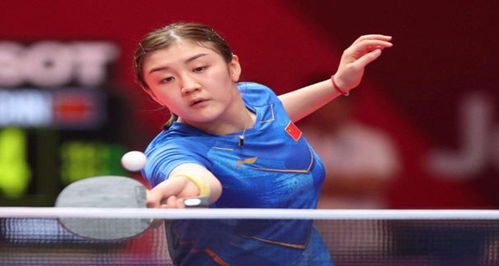 如果说蹦床 如果说蹦床